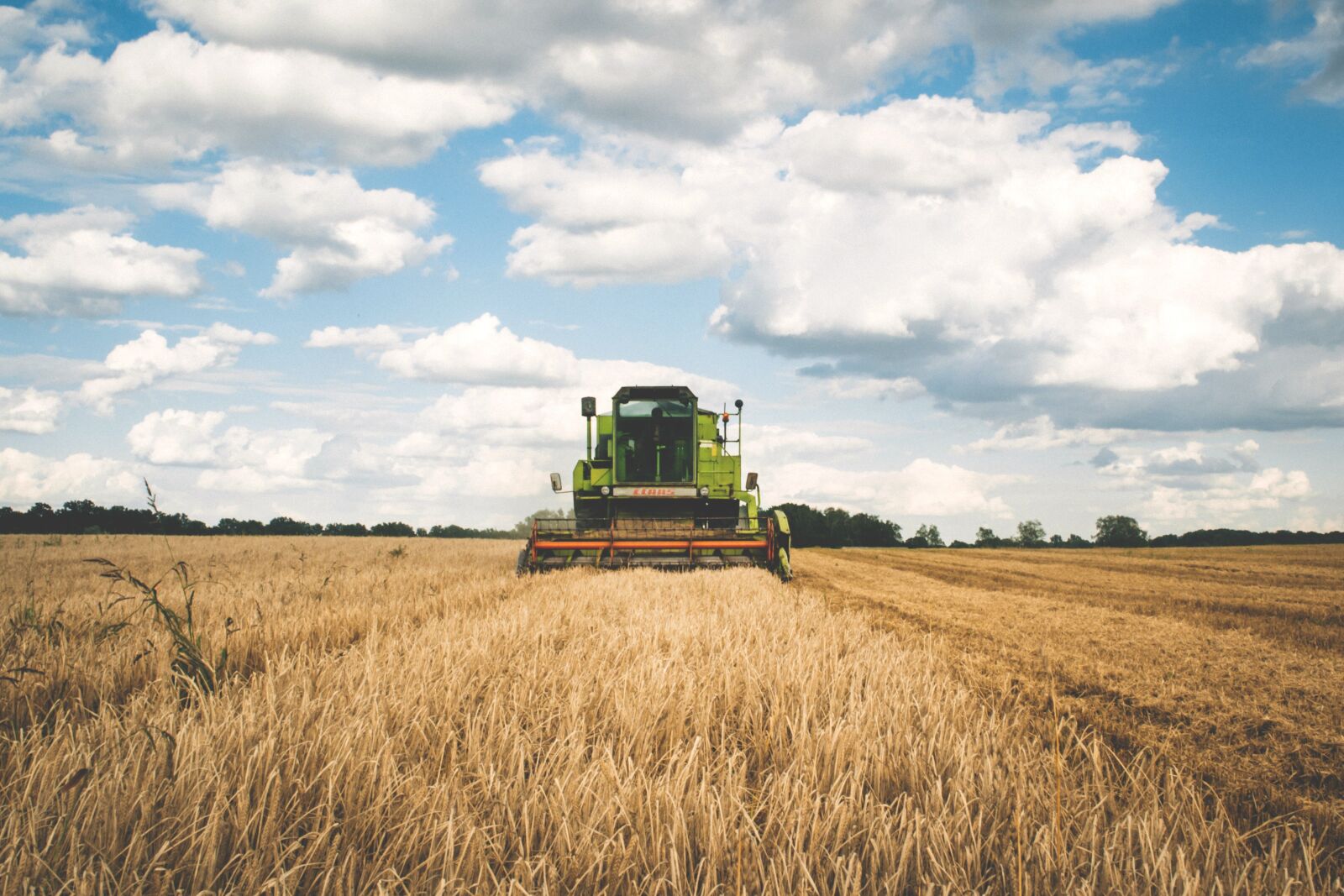 Nikon D3100 sample photo. Agriculture, cereal, clouds photography