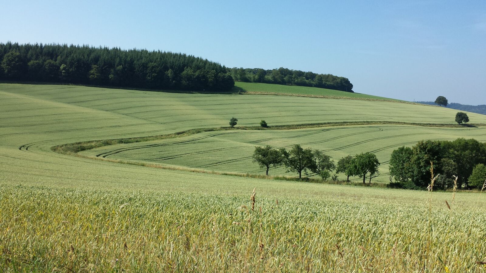 Samsung Galaxy S4 sample photo. Landscape, fields, wavy photography