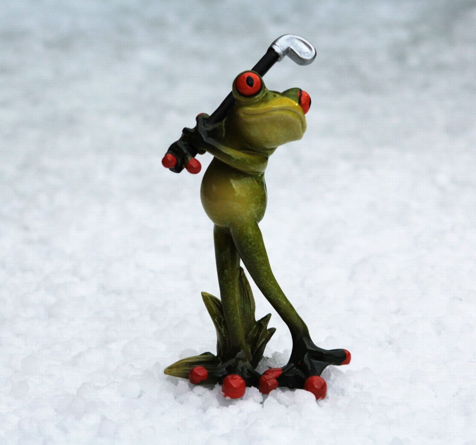 Canon EF 75-300mm f/4-5.6 sample photo. Frog, golf, golf clubs photography