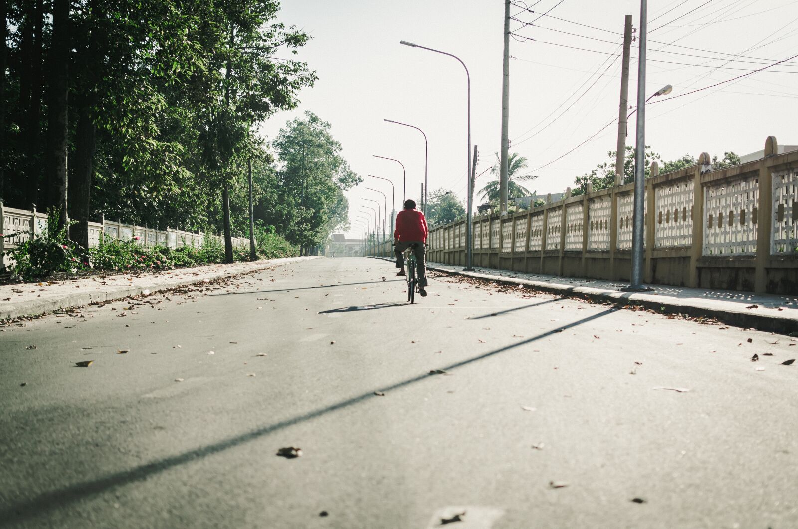 Nikon D5100 sample photo. Bike, the morning, do photography