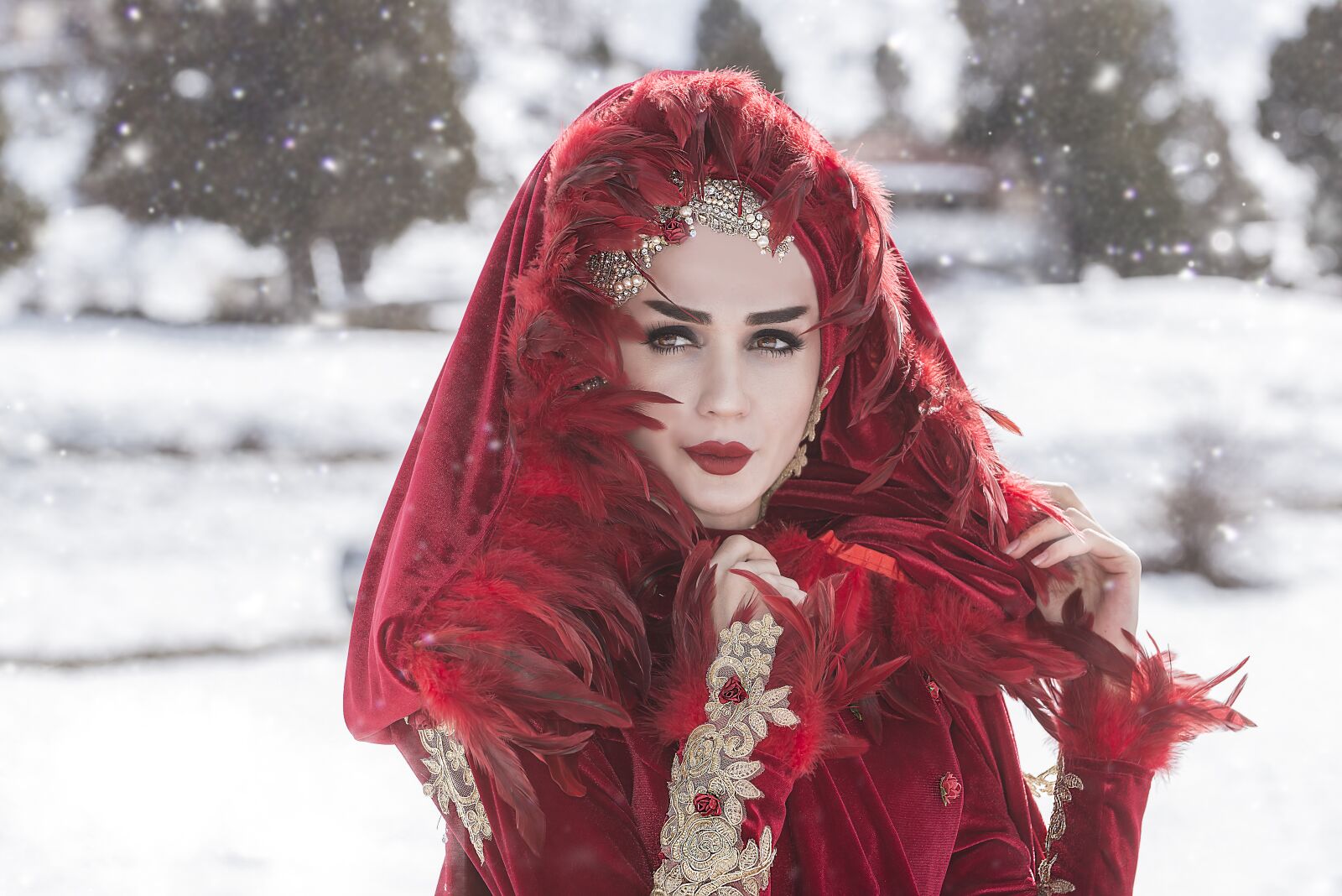 Nikon D800 sample photo. Winter, snow, cold photography