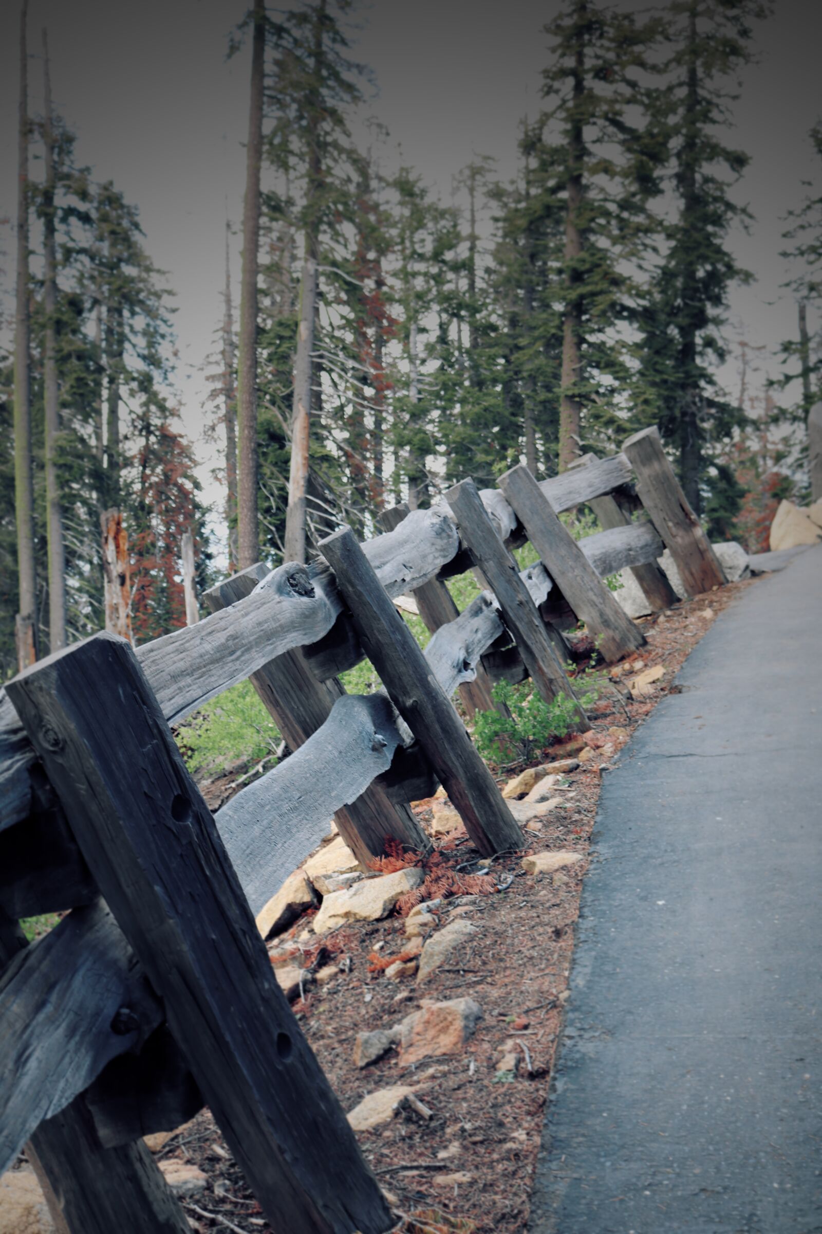 Canon EOS 750D (EOS Rebel T6i / EOS Kiss X8i) sample photo. Nature, outdoor, adventure photography