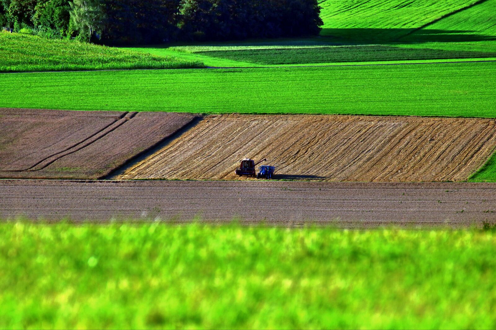 Canon EOS 750D (EOS Rebel T6i / EOS Kiss X8i) sample photo. Agriculture, arable, field photography