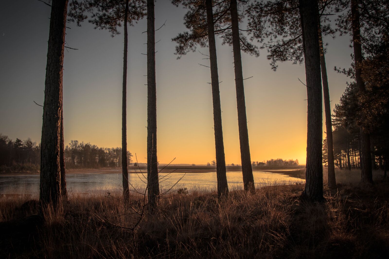 Canon EOS 80D sample photo. Sunset, trees, forest photography