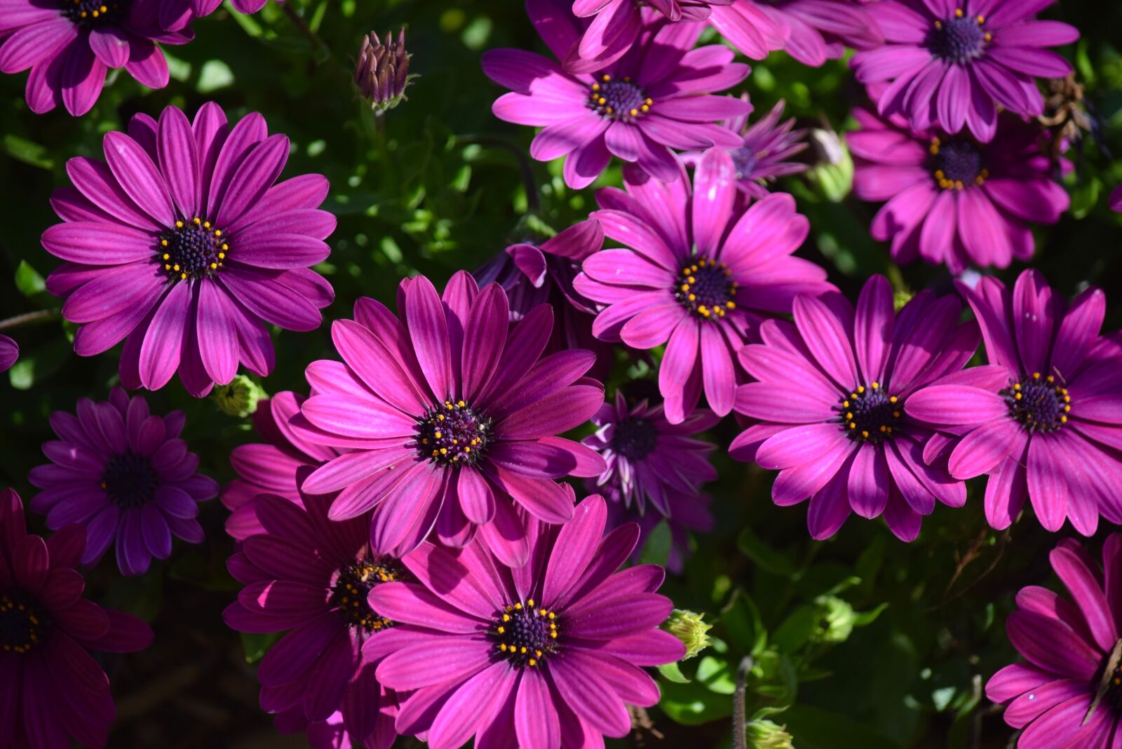 Nikon D5300 sample photo. Easter sunday, earth hour photography