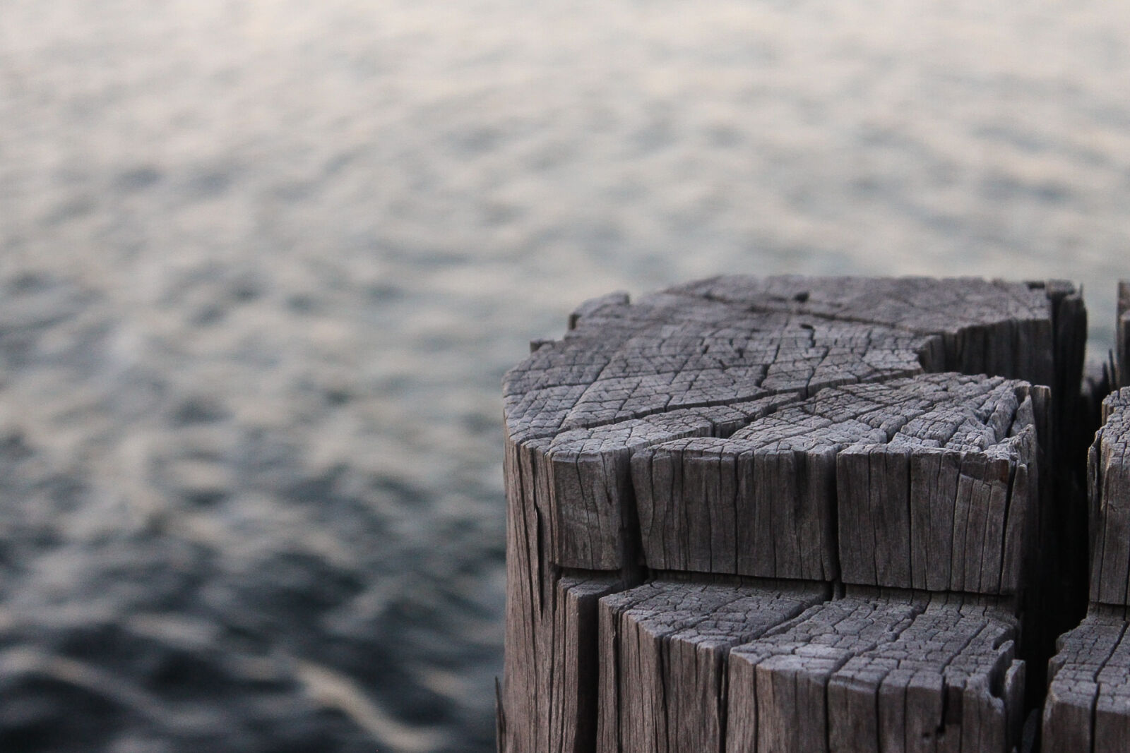 Canon EOS 1100D (EOS Rebel T3 / EOS Kiss X50) sample photo. Harbor, lake, macro, ocean photography