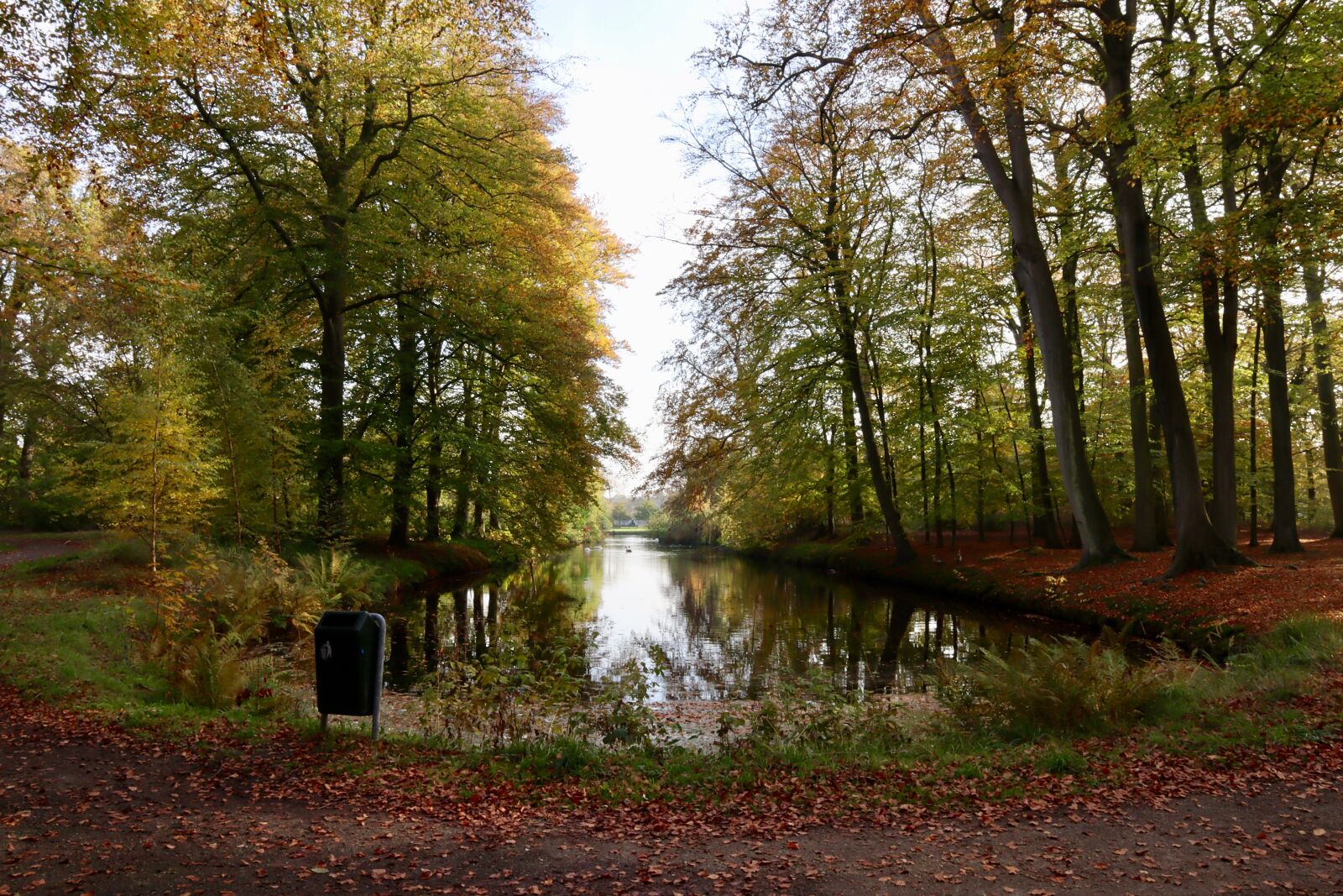 Canon EOS M50 (EOS Kiss M) sample photo. Water, trees, landscape photography
