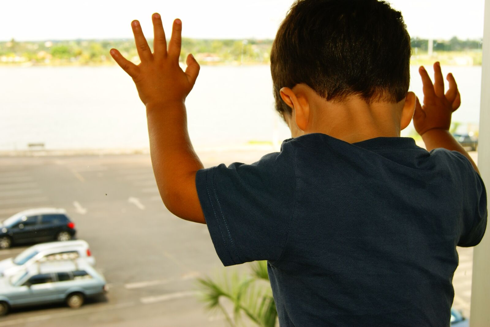 Sony Alpha DSLR-A290 sample photo. Look there, jeez, boy photography