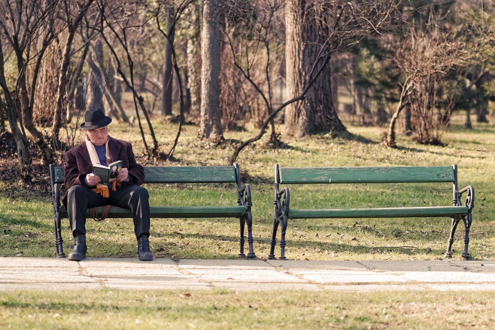 Nikon D5300 sample photo. Landscape, park, banks photography