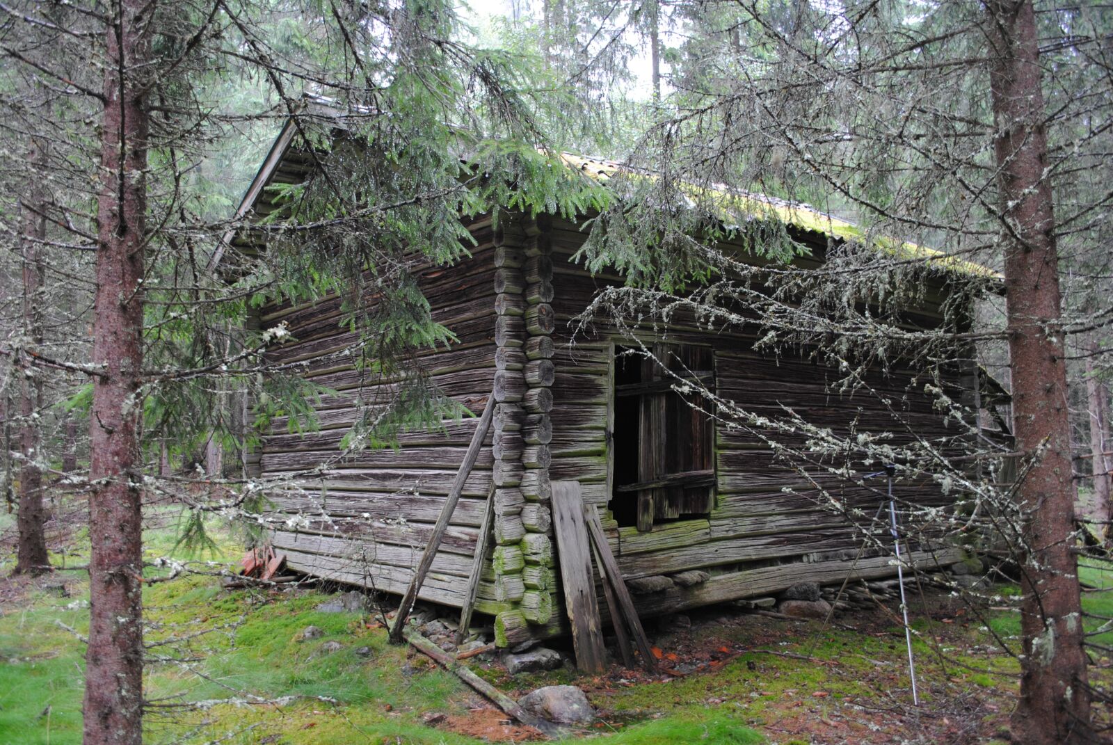 Nikon D3000 sample photo. Barn, floberget, dala photography