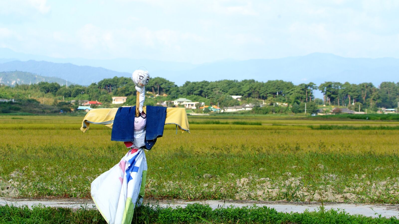 Fujifilm FinePix S3 Pro sample photo. The scarecrow, gangneung, sichuan photography