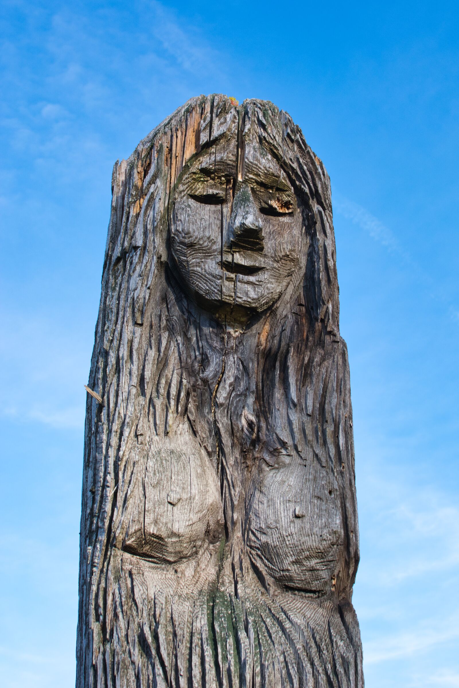 Nikon D7100 sample photo. Statue, wood, figure photography