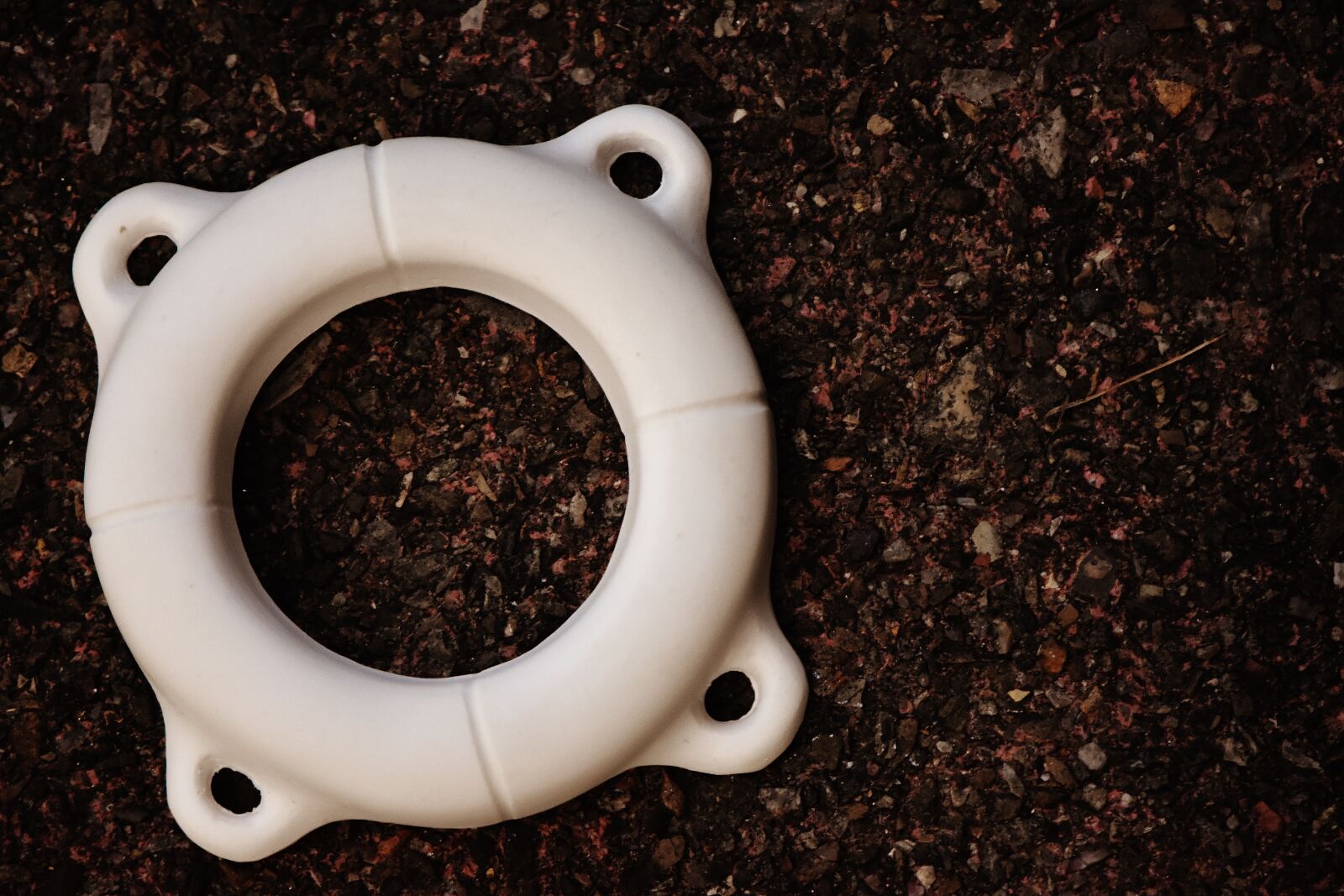 Nikon D7200 sample photo. Lifebelt, gypsum, blank photography