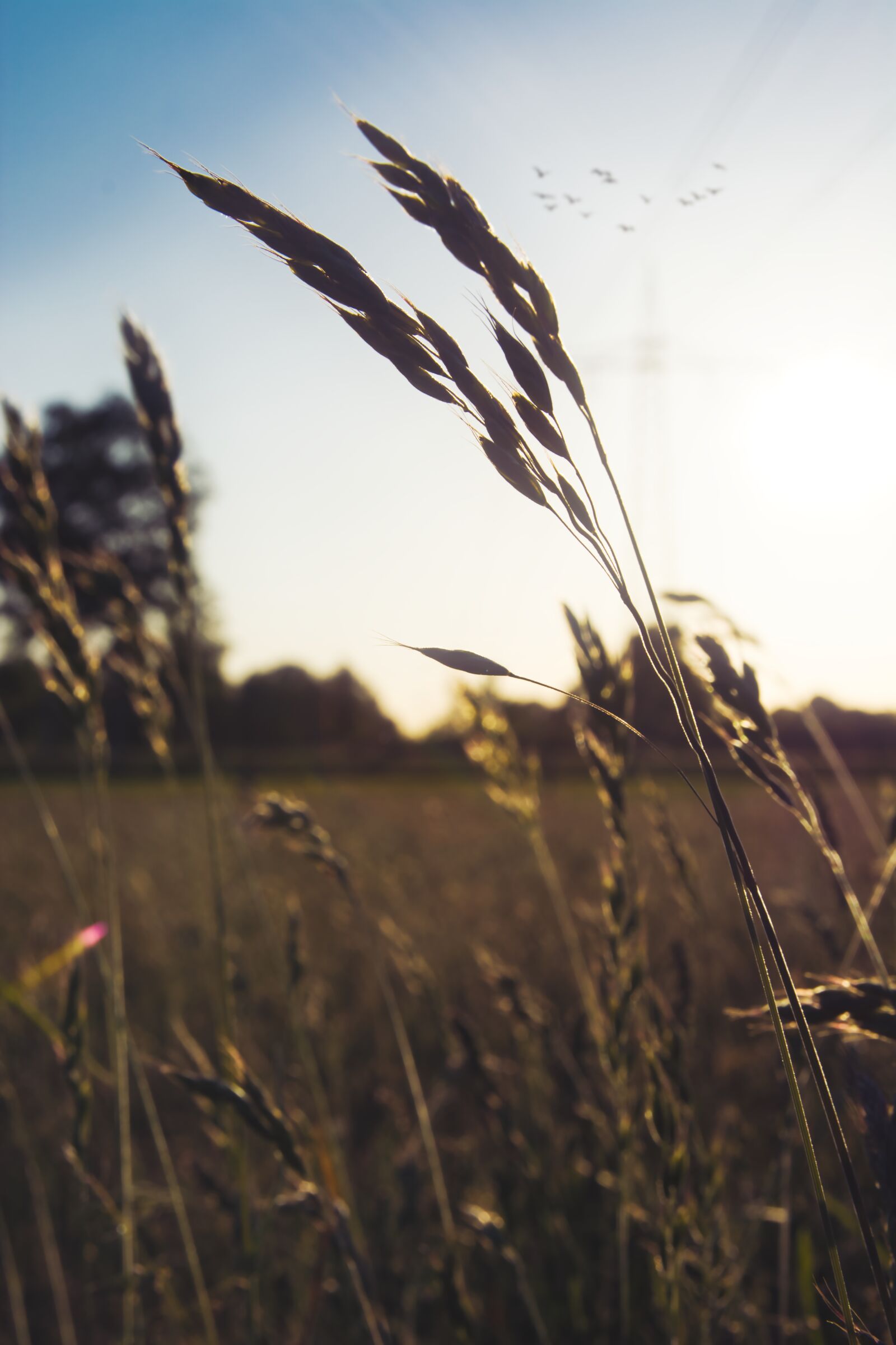 Nikon D5200 sample photo. Nature, sky, landscape photography