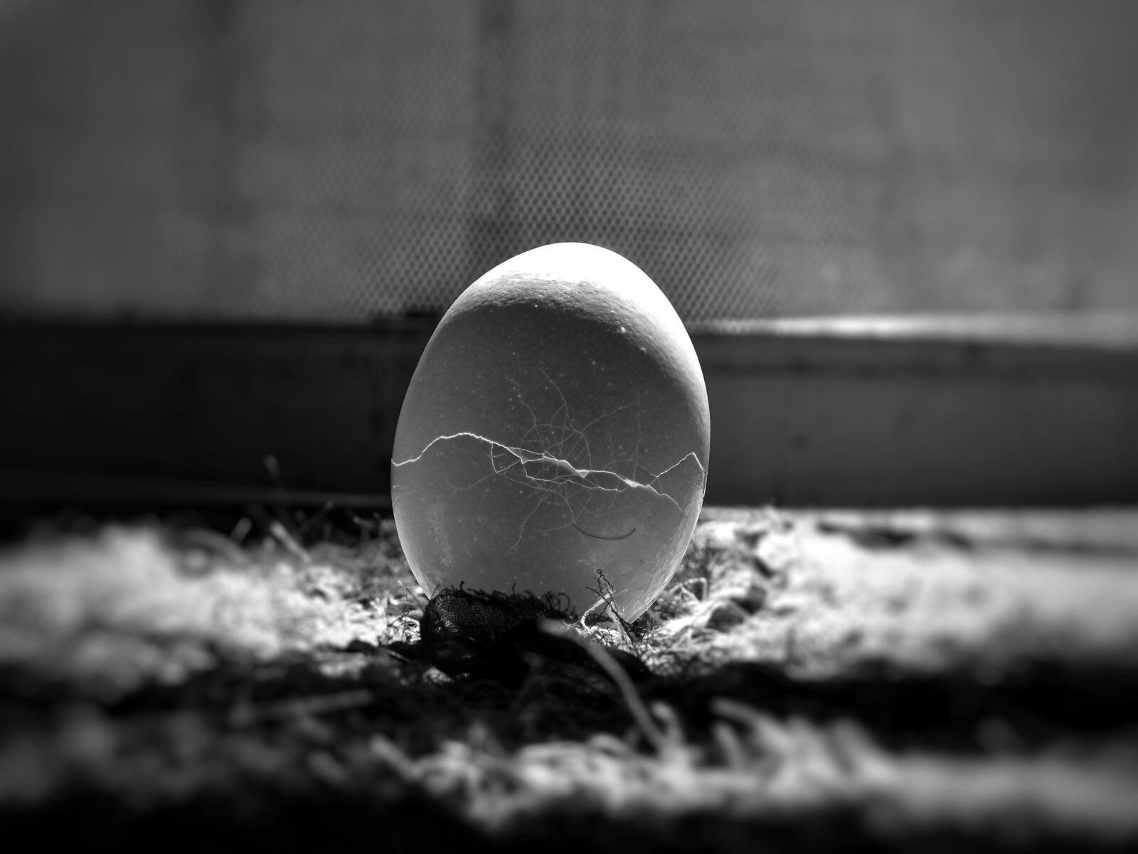 Nikon Coolpix L840 sample photo. Egg, cracks, food photography