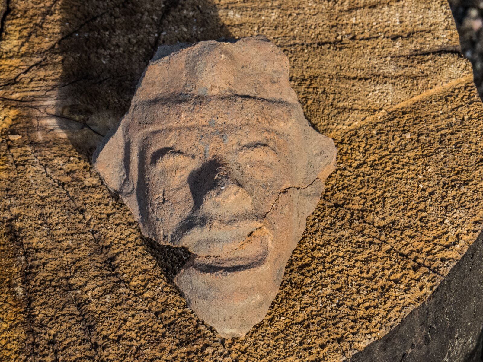 Canon PowerShot SX50 HS sample photo. Face, earth, mud photography