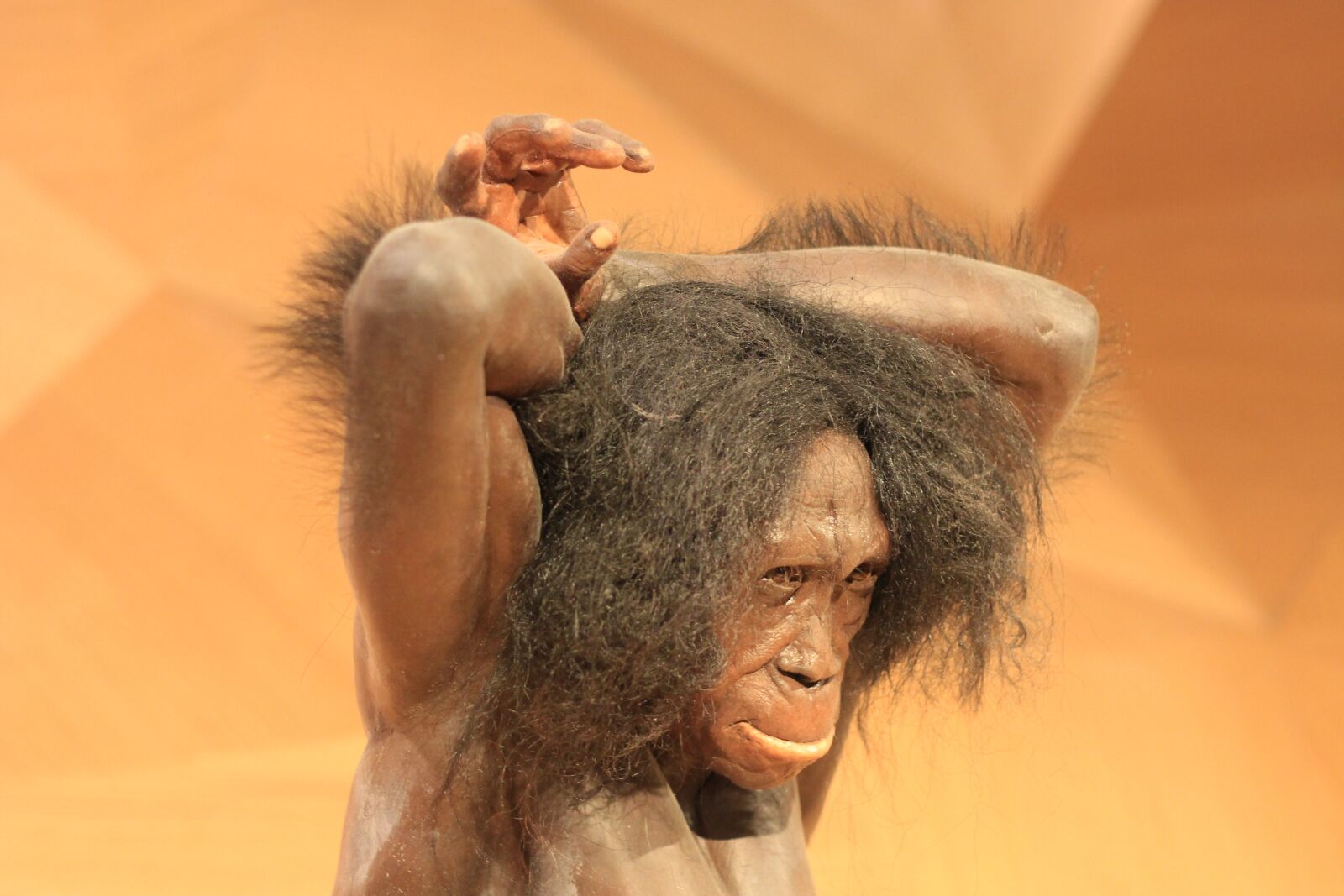 Canon EOS 700D (EOS Rebel T5i / EOS Kiss X7i) + Canon EF 50mm F1.8 STM sample photo. Neanderthal, stone age, caveman photography