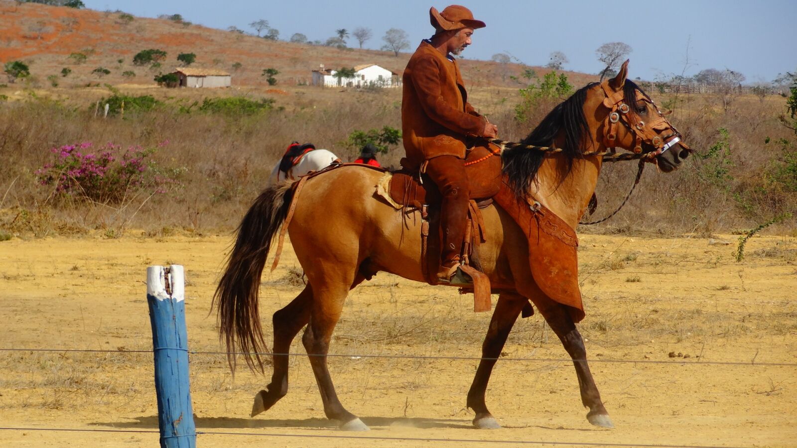 Sony Cyber-shot DSC-HX10V sample photo. Cowboys, knight, backcountry photography