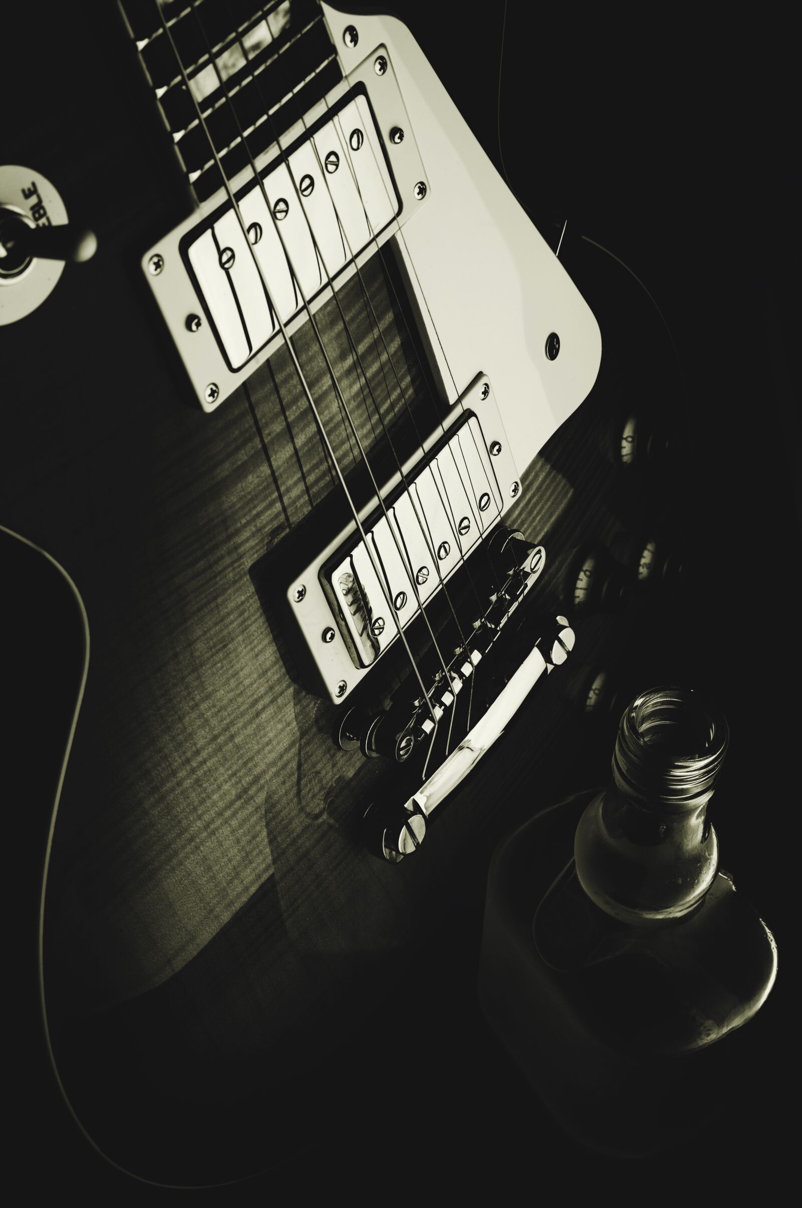 Canon EOS-1Ds Mark III sample photo. Guitar, e guitar, sw photography