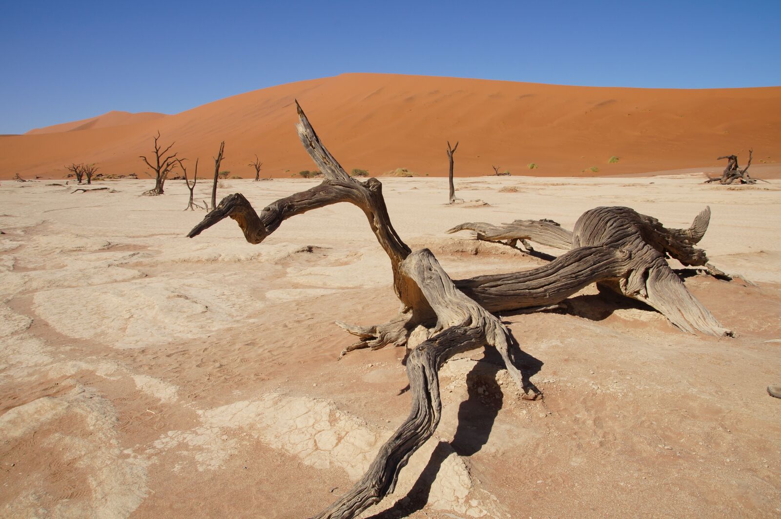 Sony SLT-A37 sample photo. Namibia, africa, namib desert photography
