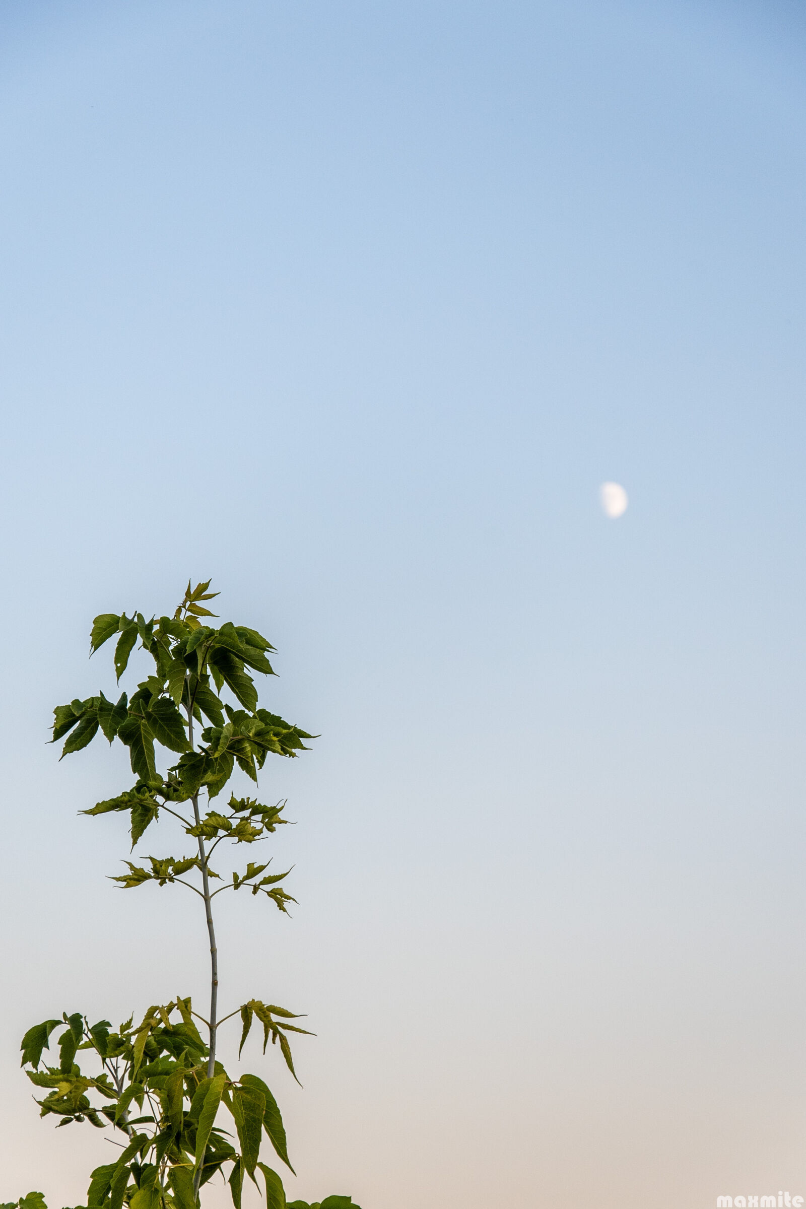 Nikon D750 sample photo