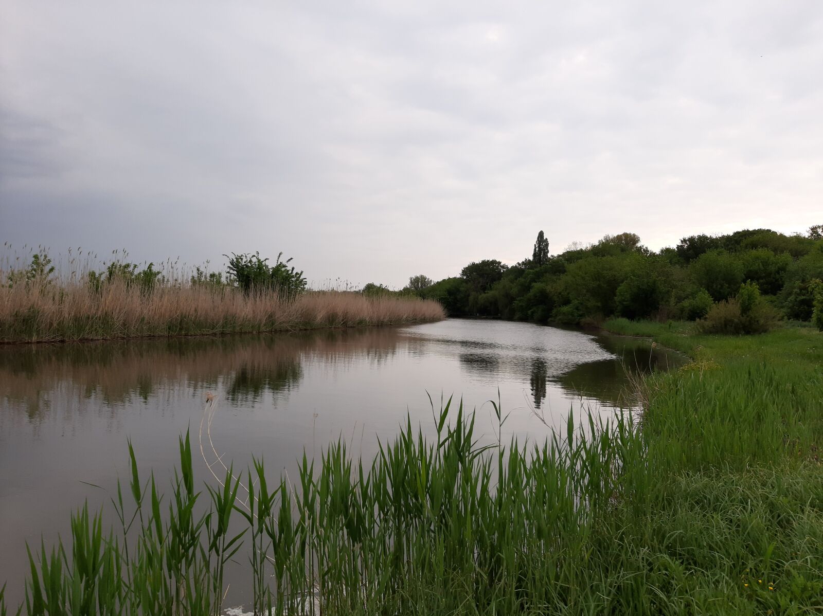 Samsung Galaxy A50 sample photo. River, water, spring photography