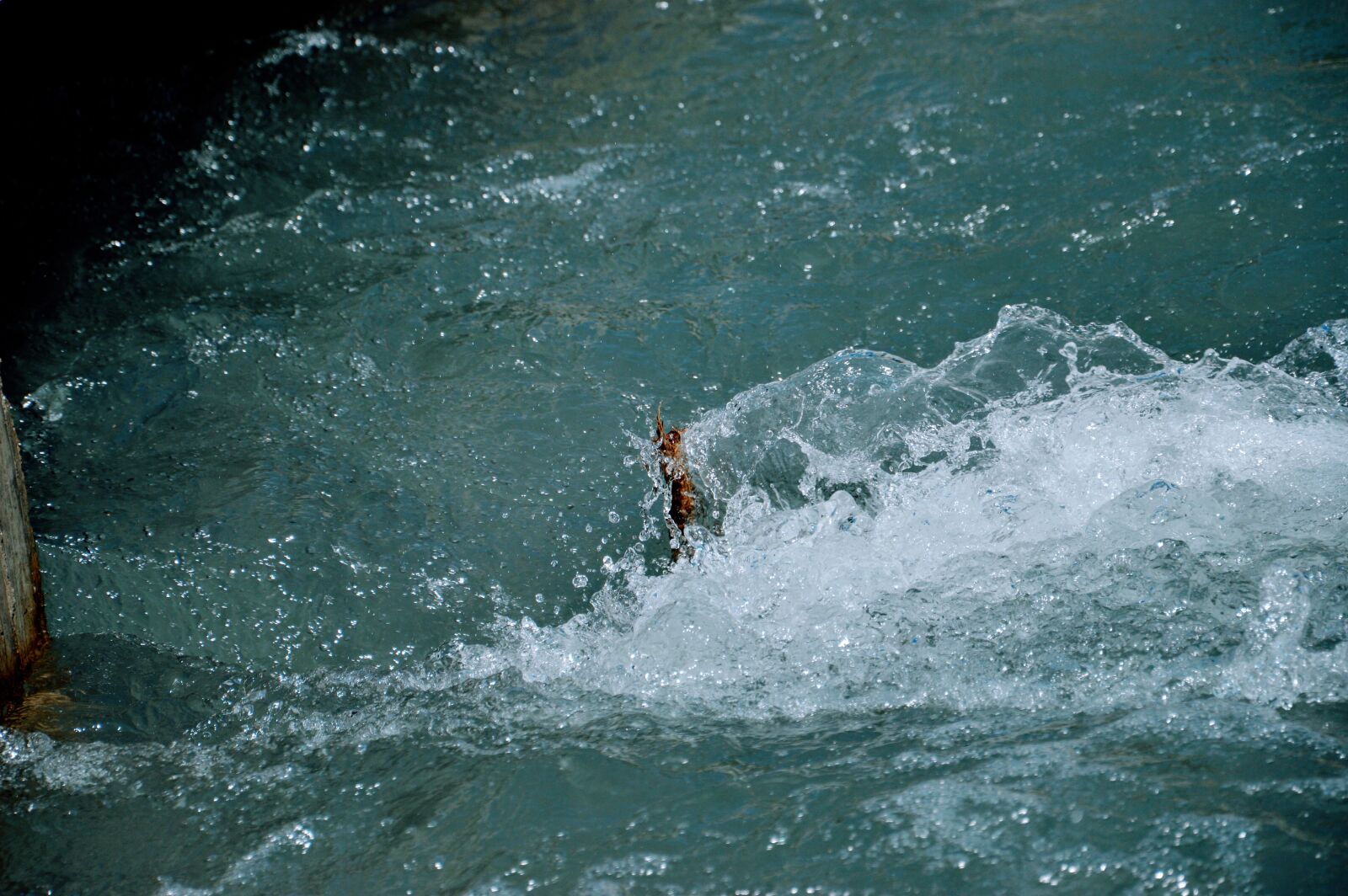 Nikon D3200 sample photo. River, water, blue photography