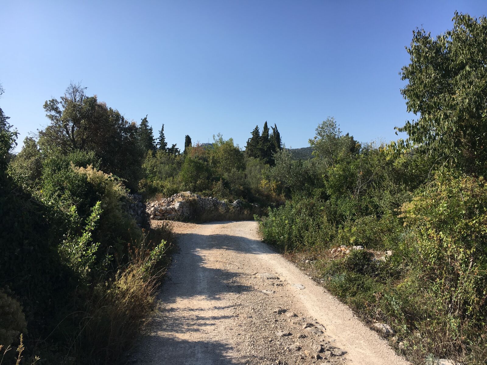 Apple iPhone 6s sample photo. Croatia, island, summer photography
