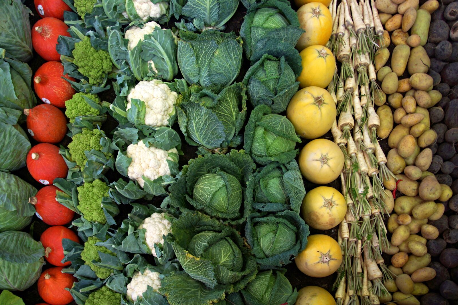 Sony SLT-A65 (SLT-A65V) sample photo. Vegetables, cauliflower, cabbage photography