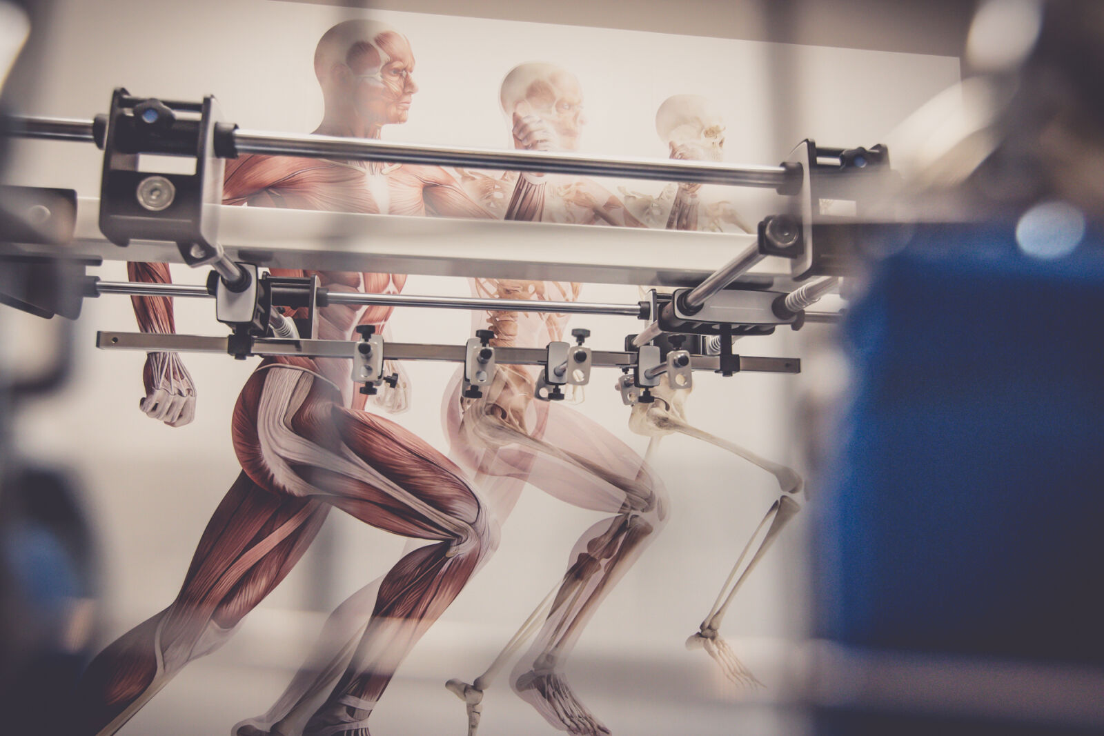 Canon EOS 70D sample photo. Cardio, room photography