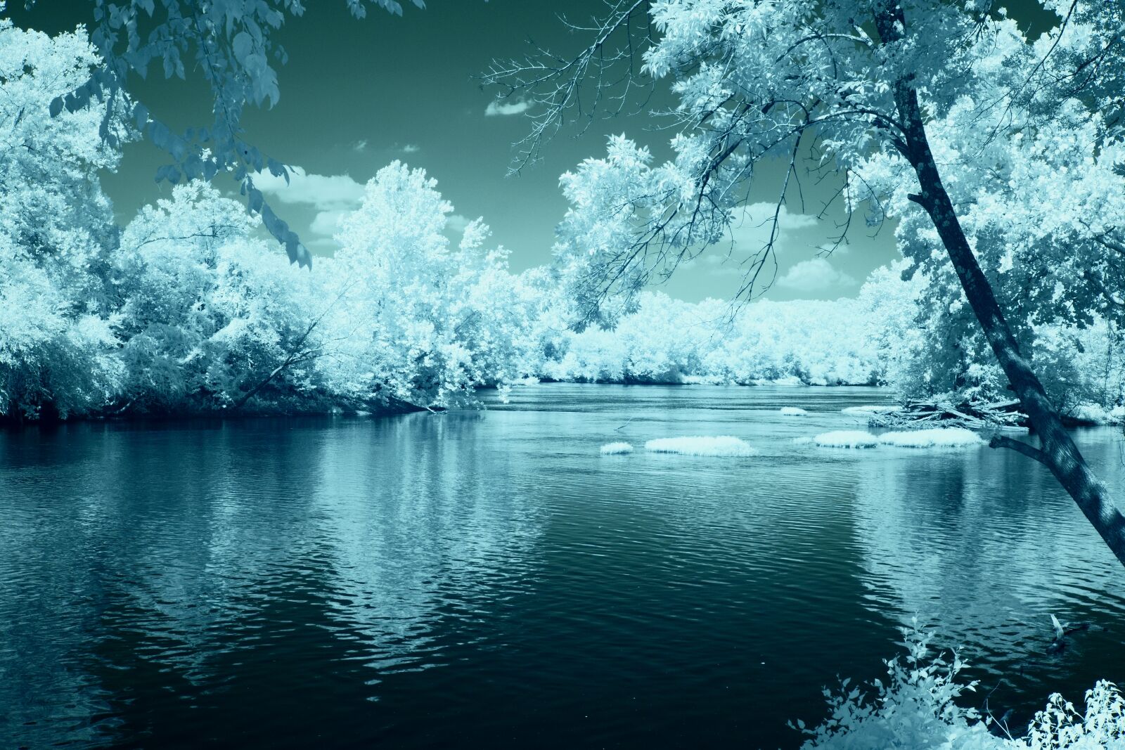 Sony a6000 + Sony E 18-55mm F3.5-5.6 OSS sample photo. Infrared, b w, james photography