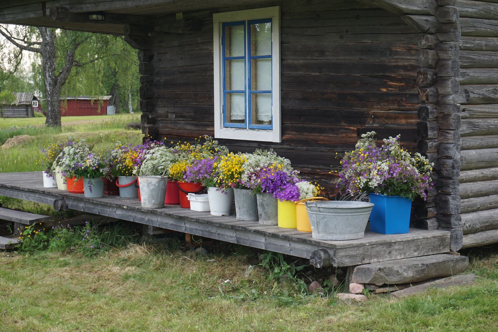 Sony a6000 sample photo. Midsummer, flowers, midsommarblommor photography