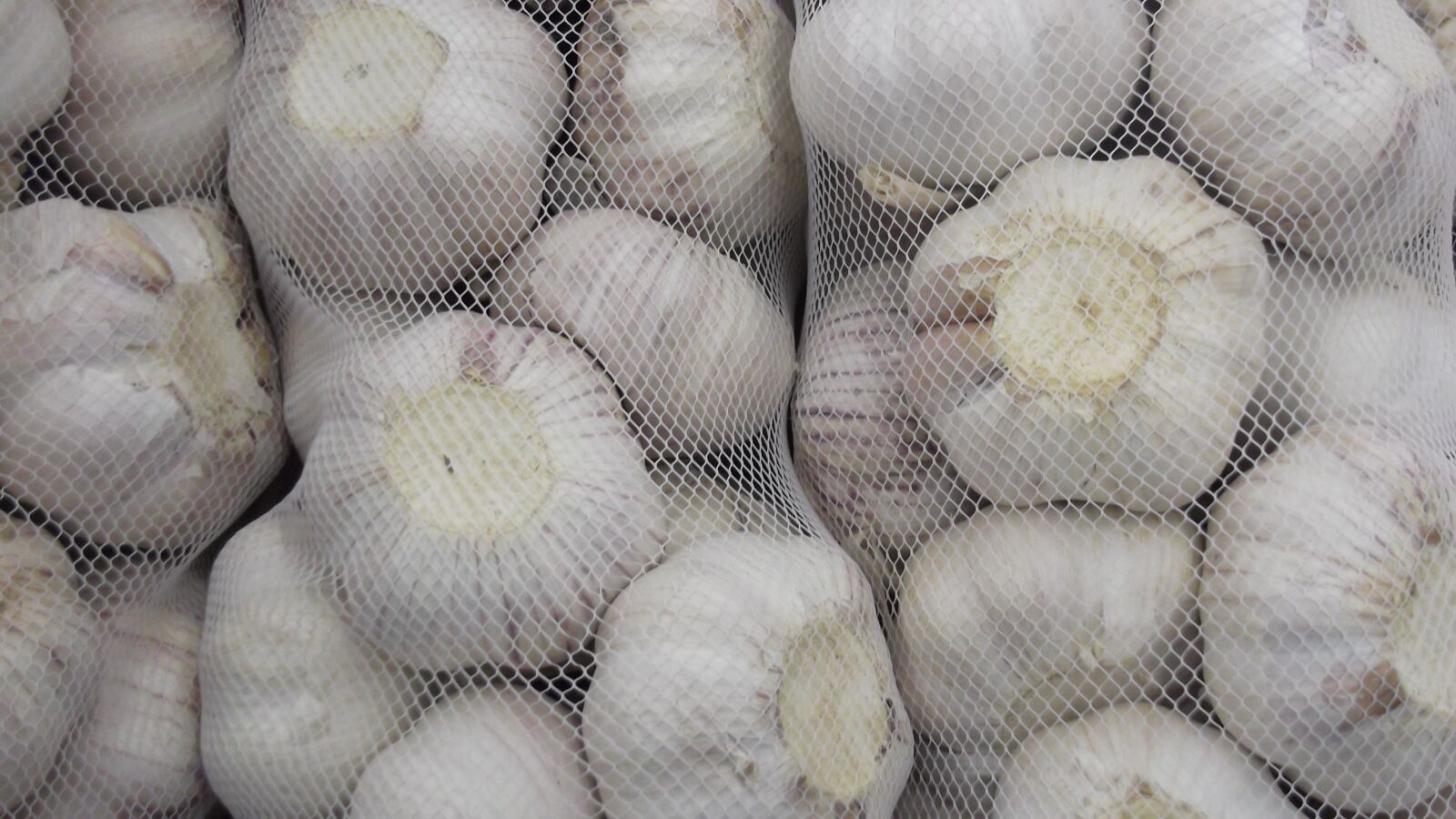 Fujifilm FinePix L30 sample photo. Garlic, vegetable, food photography