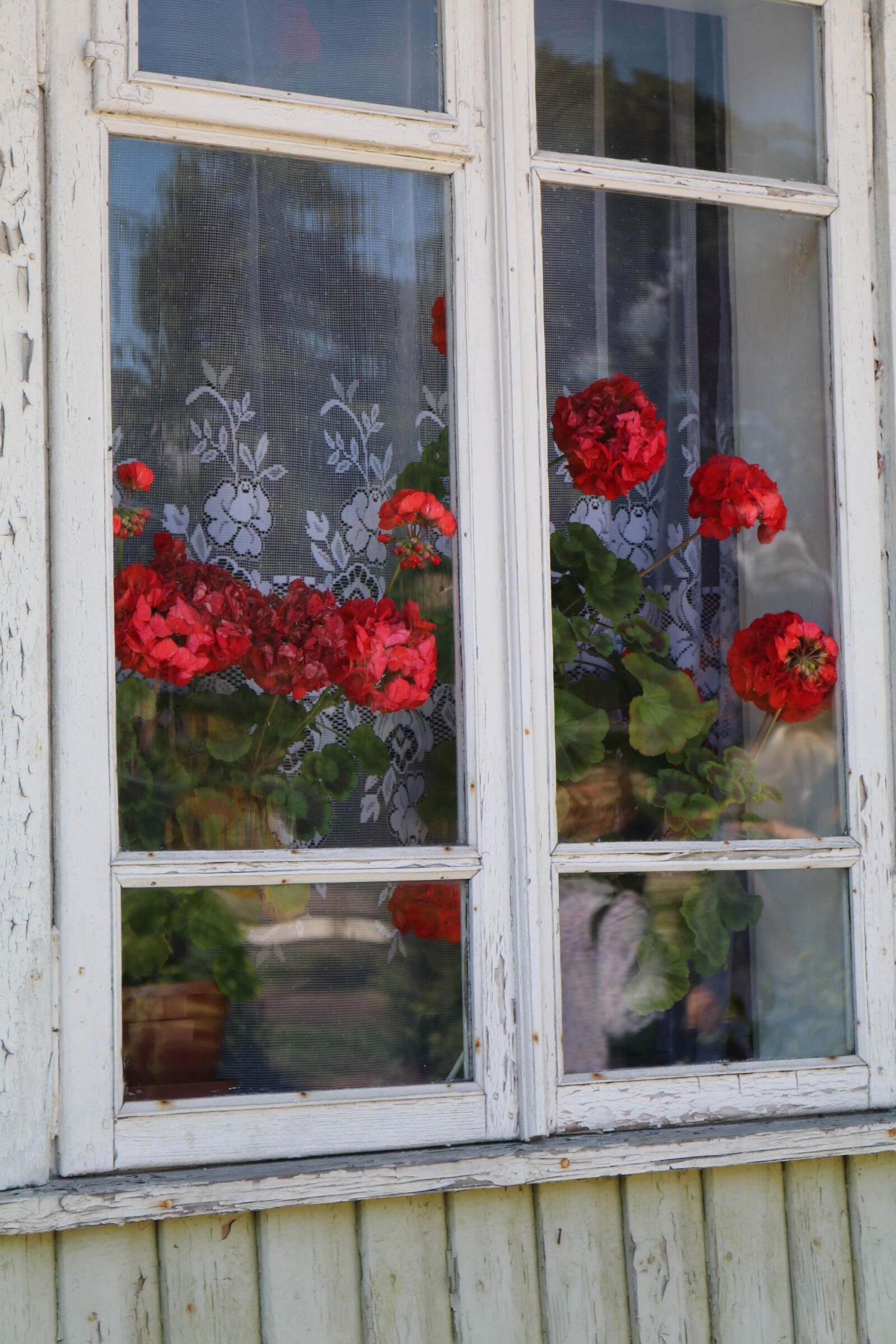 Canon EOS 80D sample photo. Window, trakai, lithuania photography