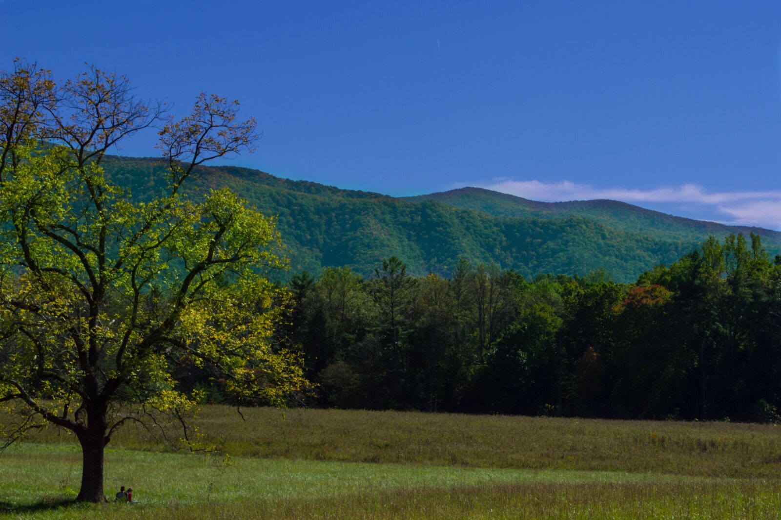 Nikon D3200 sample photo. Mountains, landscape, nature photography