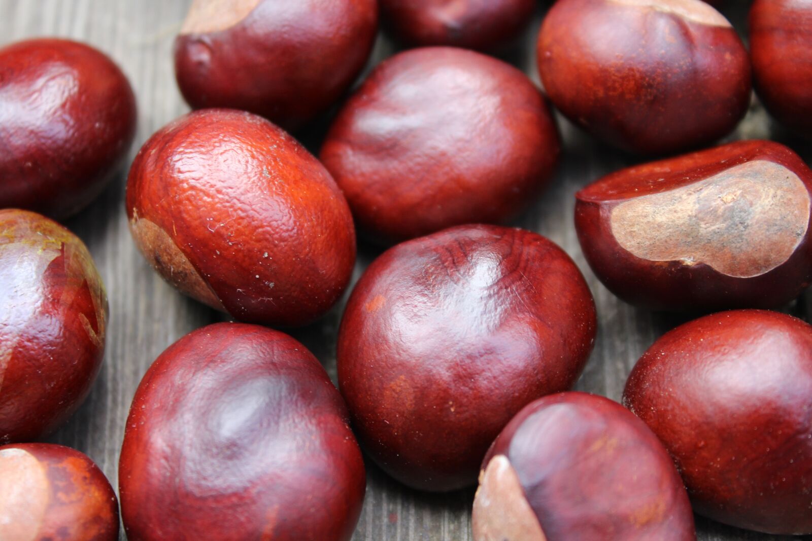 Canon EOS 1200D (EOS Rebel T5 / EOS Kiss X70 / EOS Hi) sample photo. Chestnuts, autumn, the fruits photography