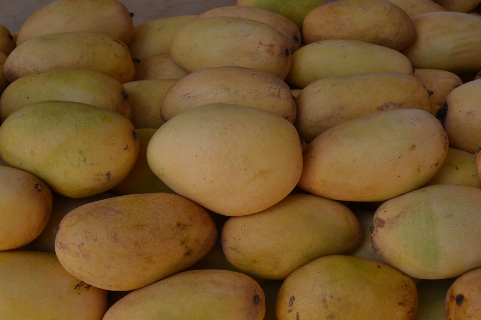 Nikon D3100 sample photo. Mango, fruit, tropical photography