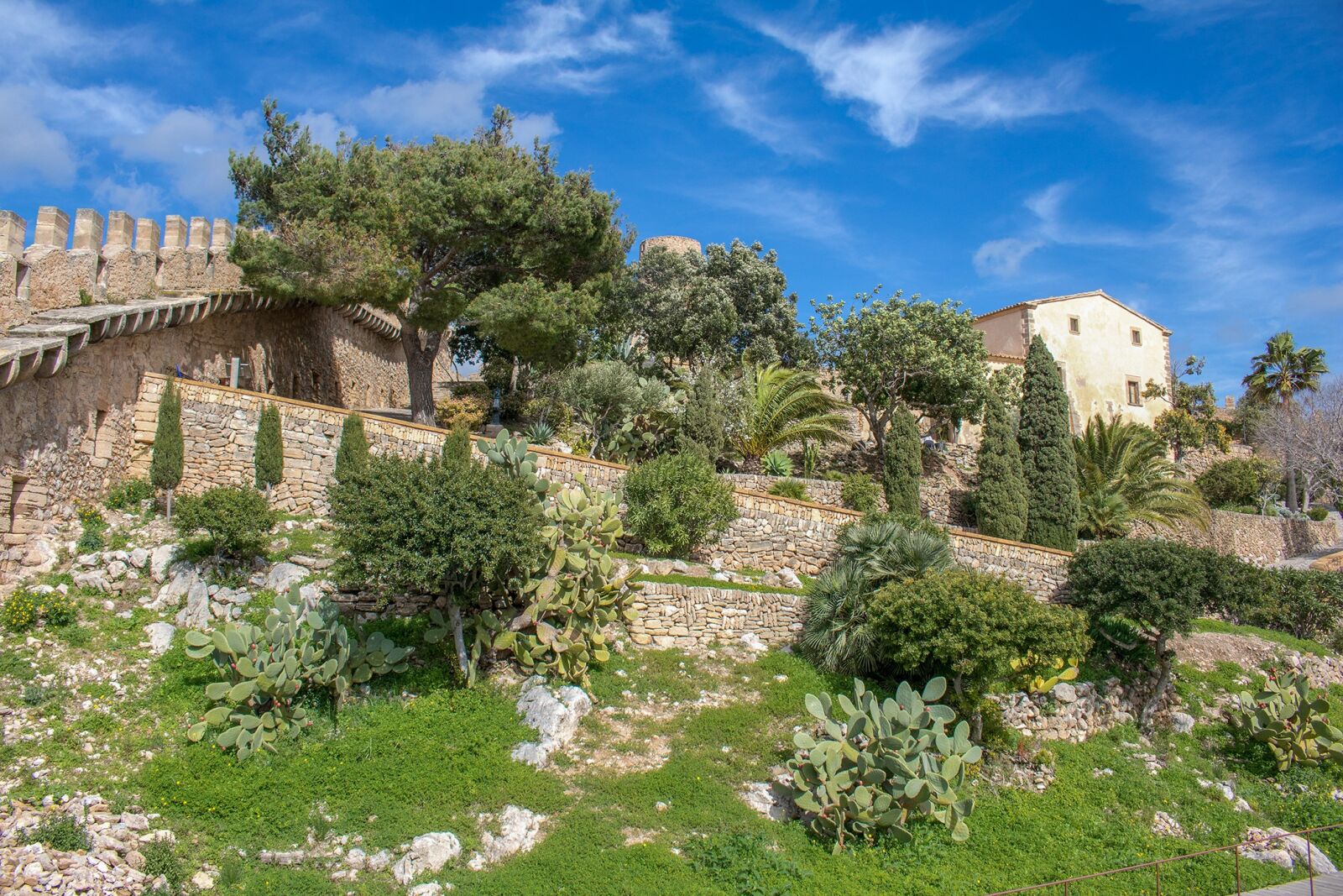 Canon EOS 750D (EOS Rebel T6i / EOS Kiss X8i) sample photo. Mallorca, capdepera, castle photography