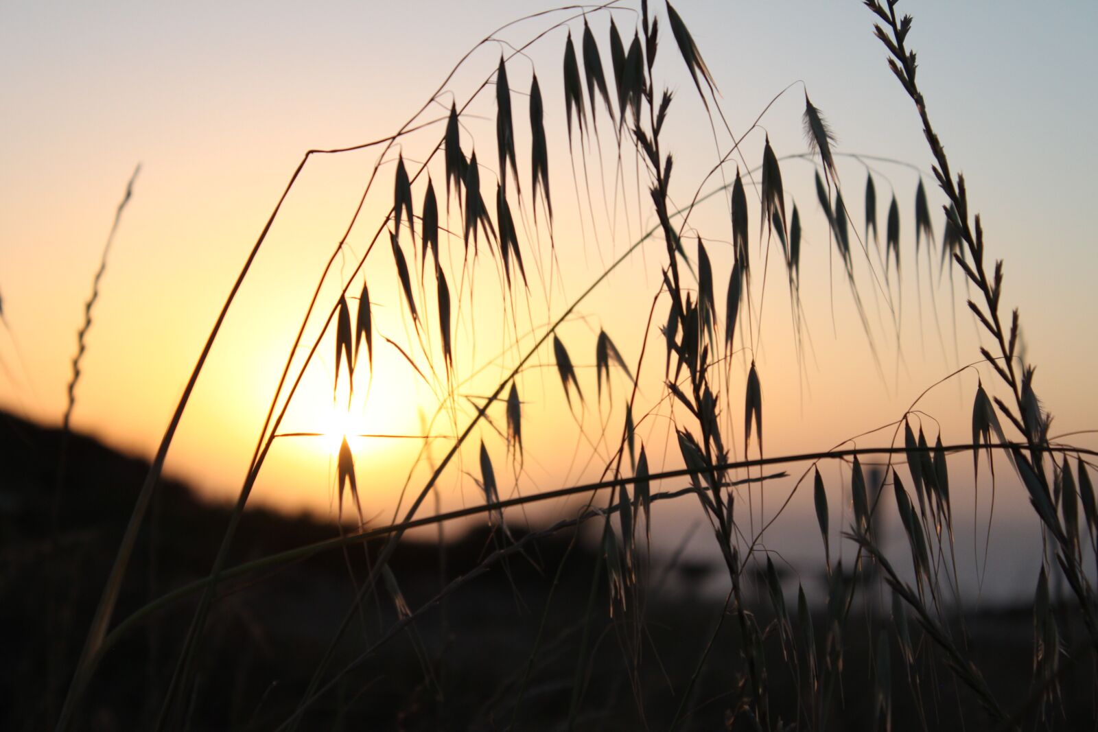 Canon EOS 500D (EOS Rebel T1i / EOS Kiss X3) sample photo. Sunset, beach, orange photography