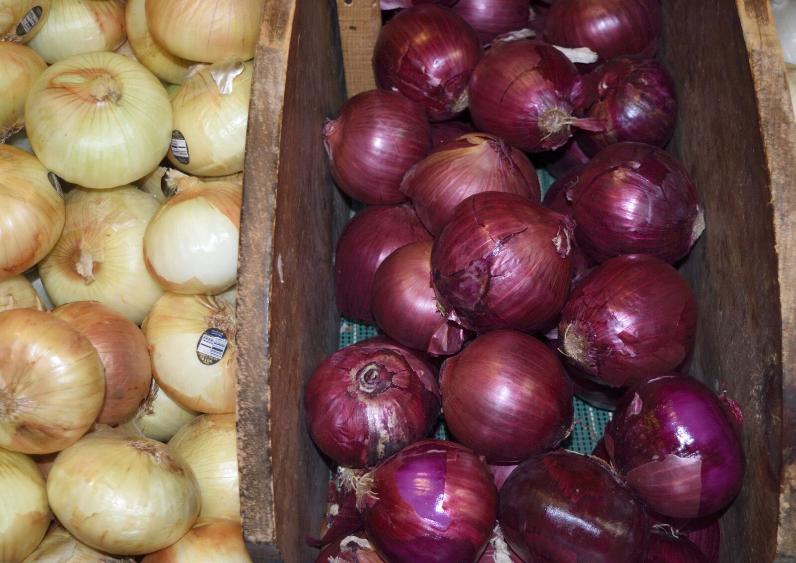Nikon D3300 sample photo. Onions, for sale, herb photography