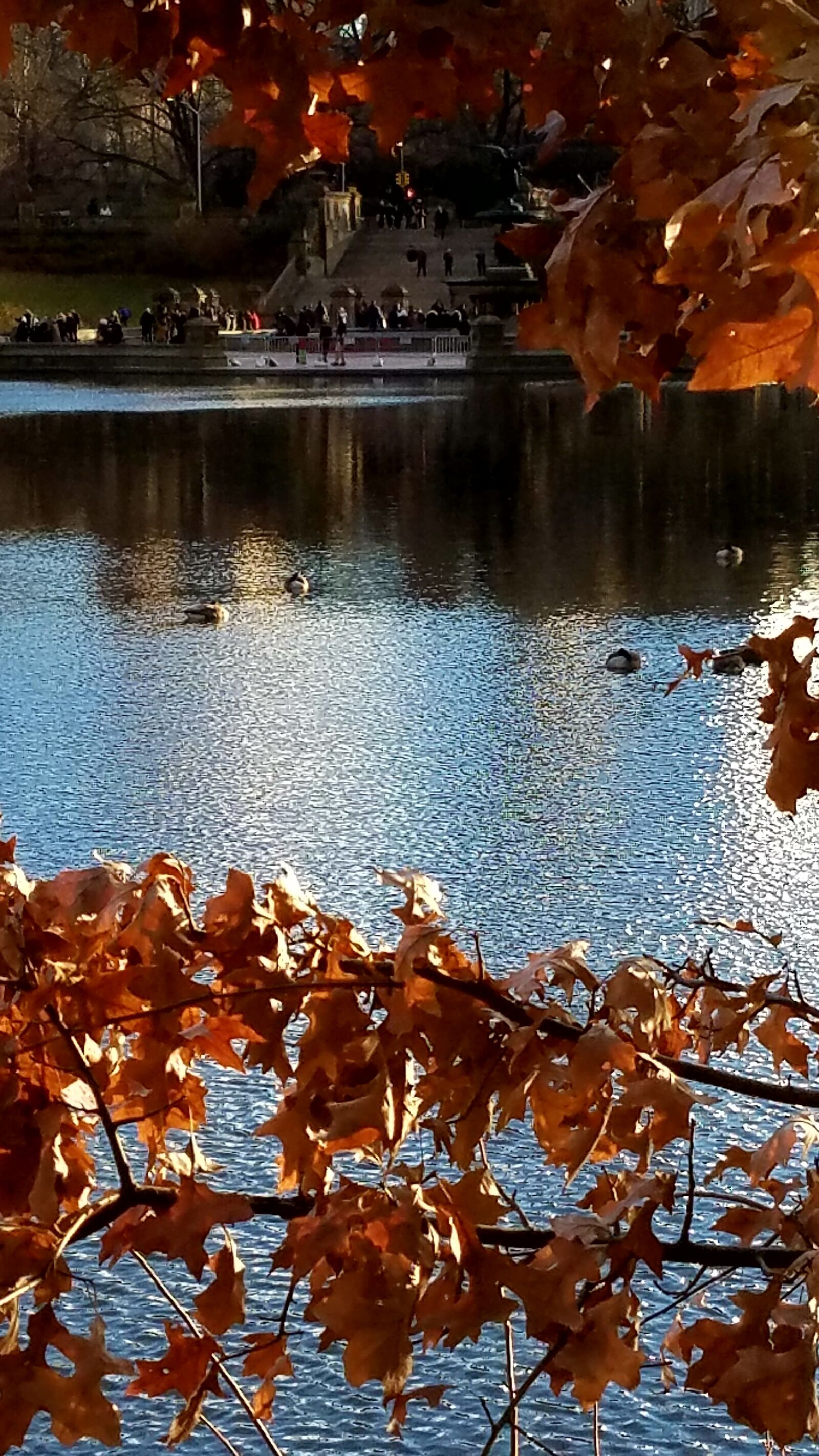 Samsung Galaxy S7 sample photo. Central, park, lake photography