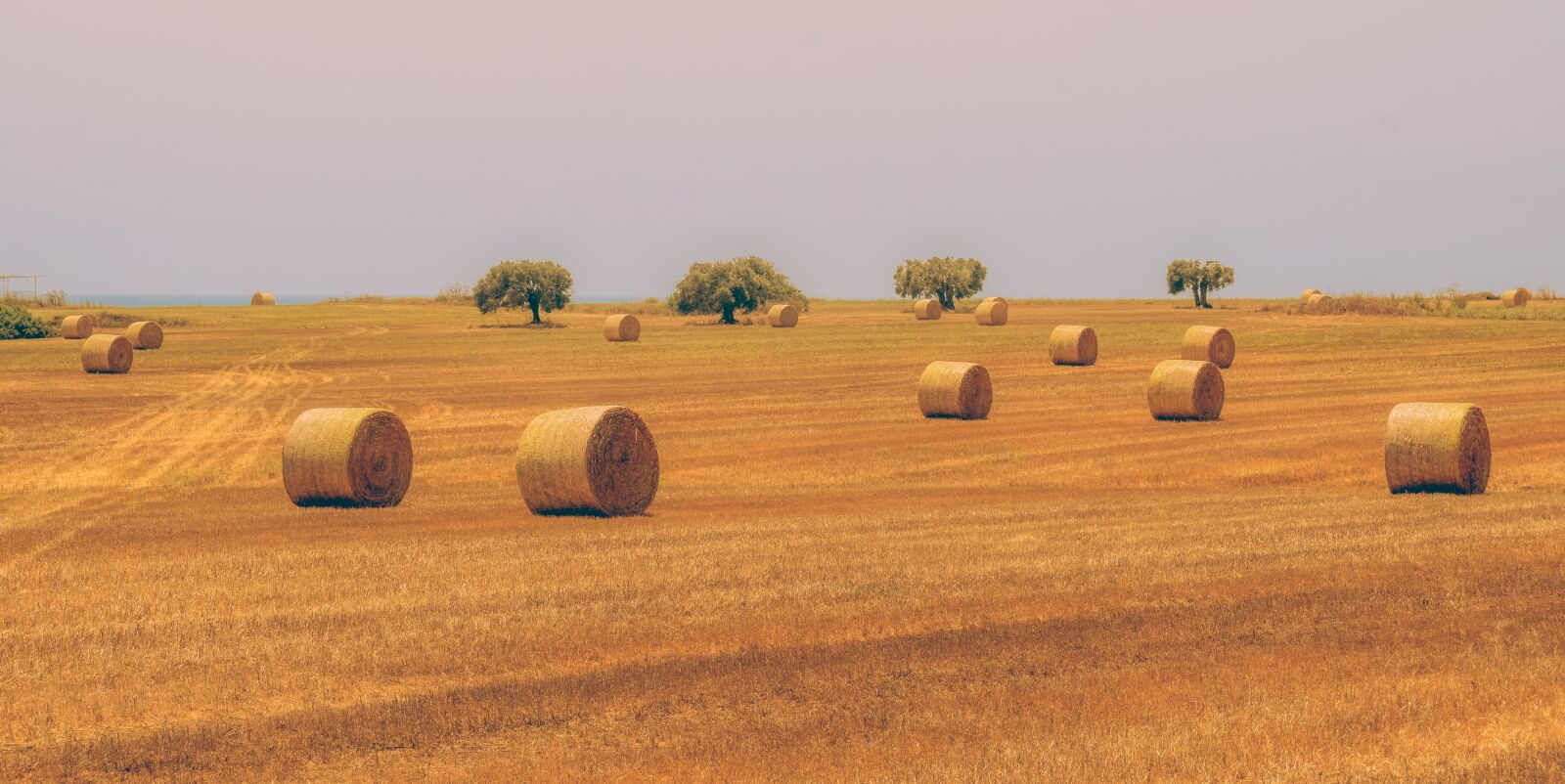 Nikon D3300 sample photo. Hay, straw, bale photography