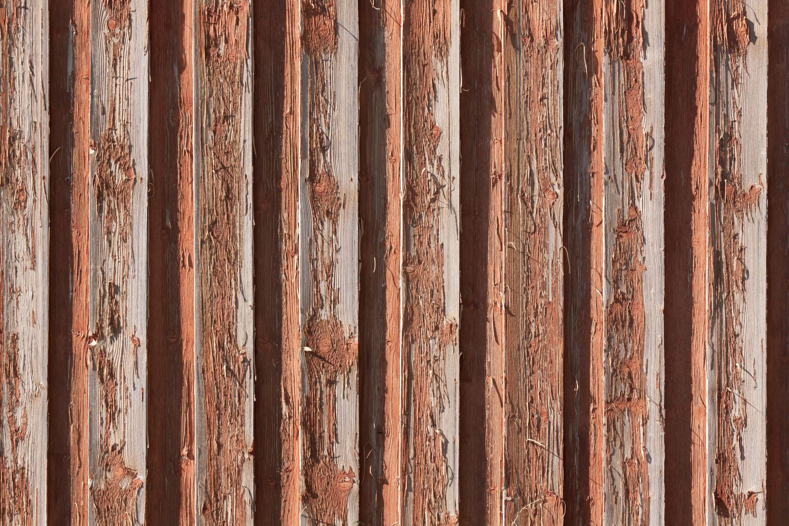 Canon EOS 50D sample photo. Wood, goal, fund photography
