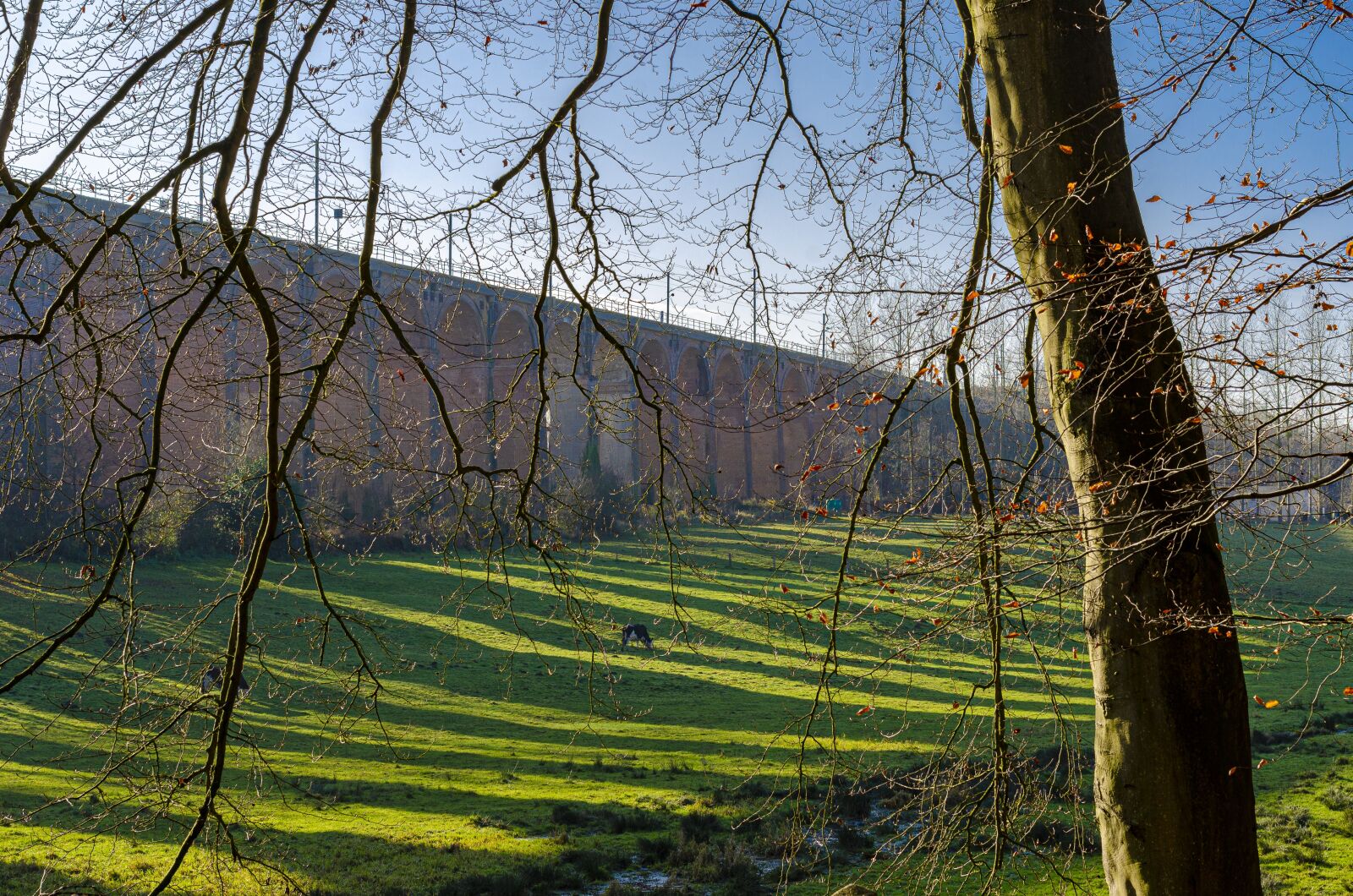 Nikon D7000 sample photo. Field, france, normandy photography