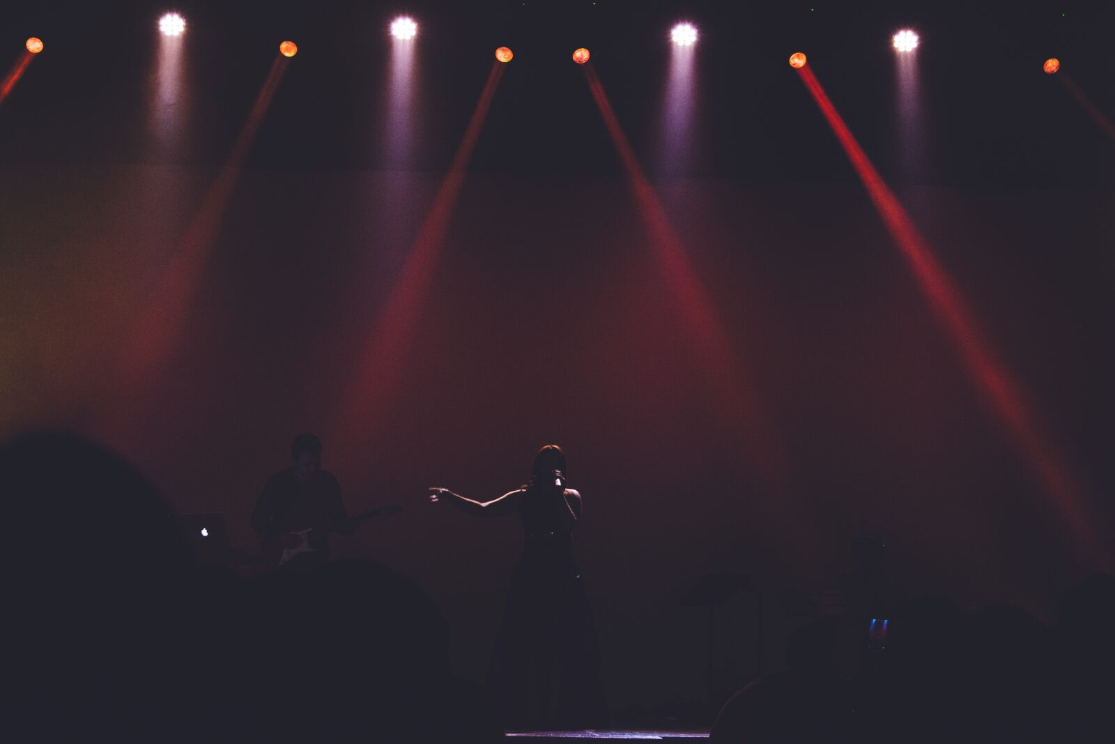 Nikon D7100 sample photo. Singer, concert, red photography