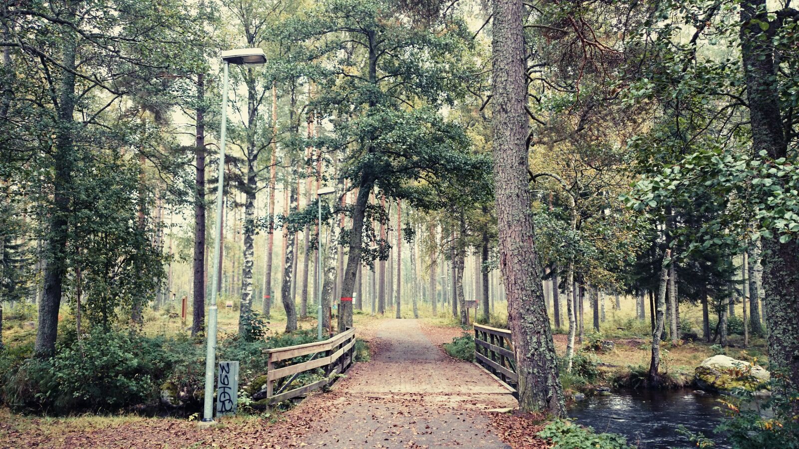 Sony Xperia Z1 sample photo. Bridge, nature, trees photography
