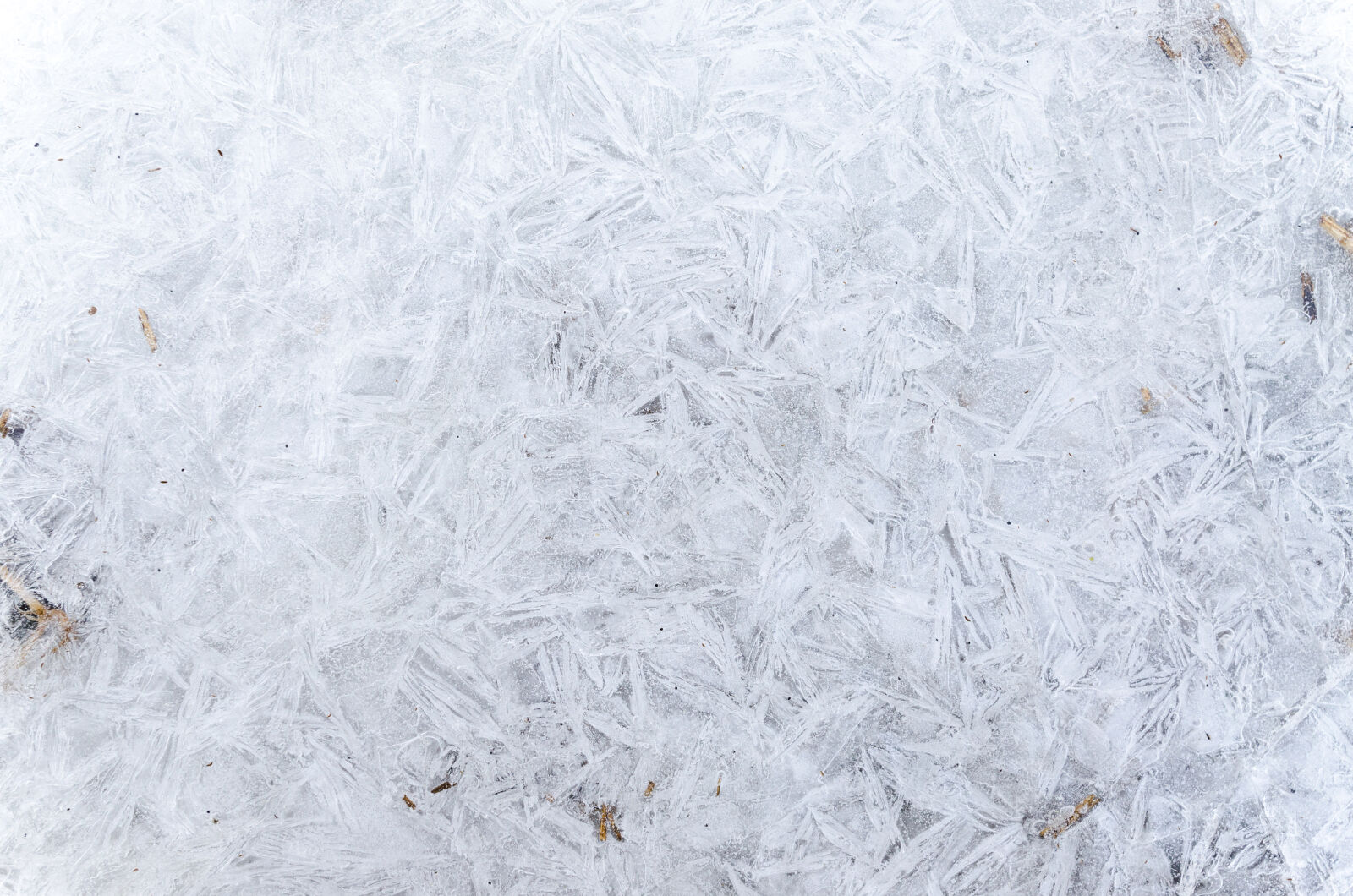 Nikon D5100 sample photo. Abstract, arctic, backdrop, background photography