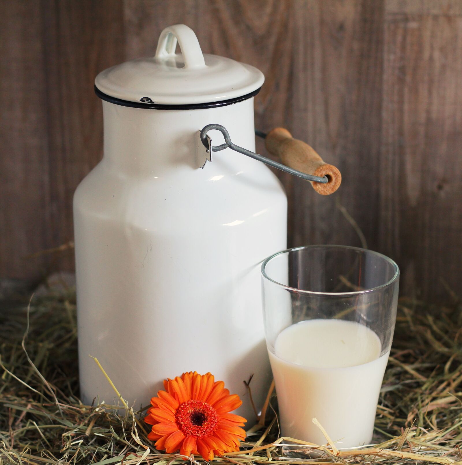 Canon EOS 550D (EOS Rebel T2i / EOS Kiss X4) sample photo. Milk can, glass, milk photography