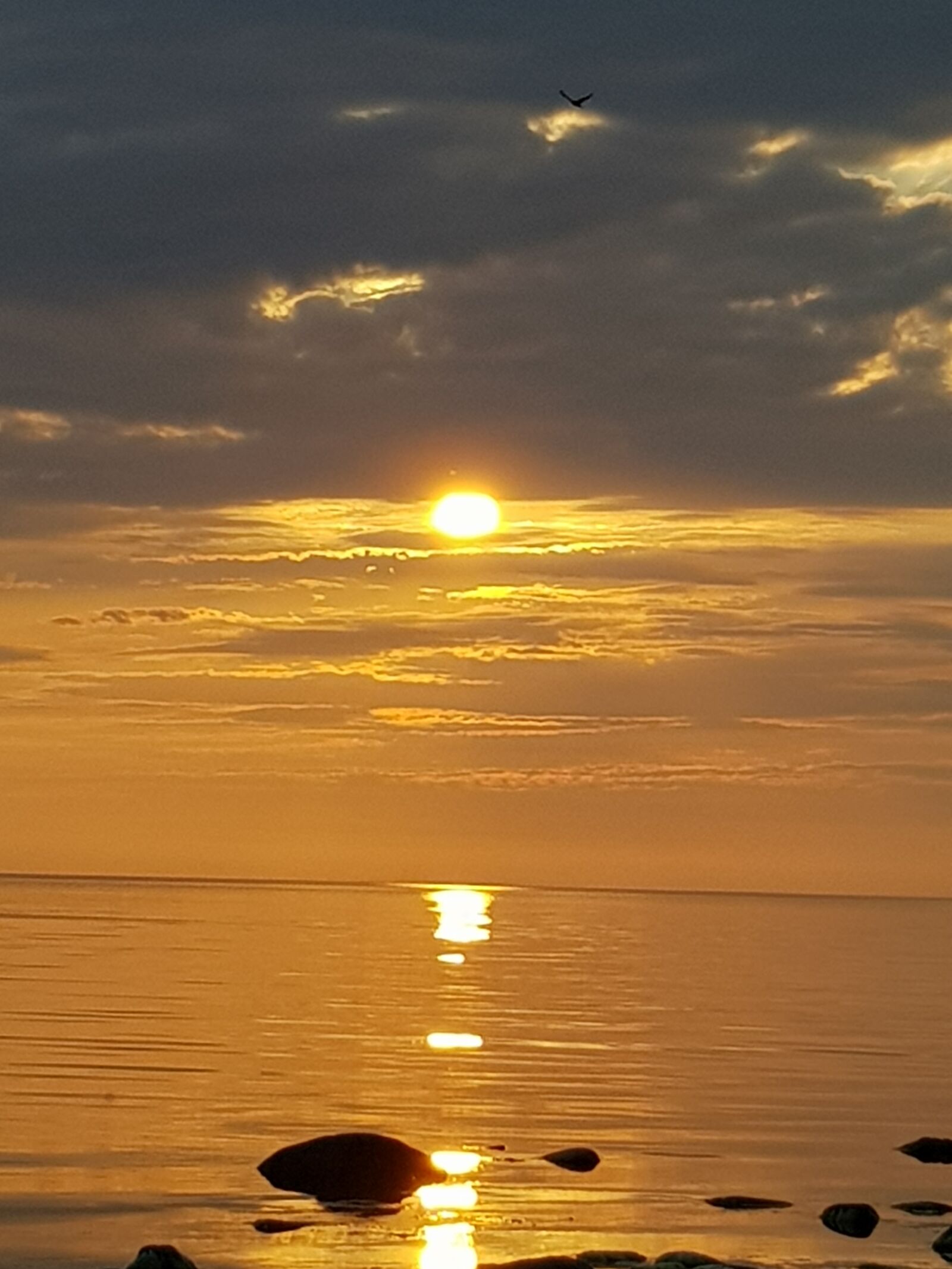 Samsung Galaxy S8 sample photo. Reflection, sunset, calm photography