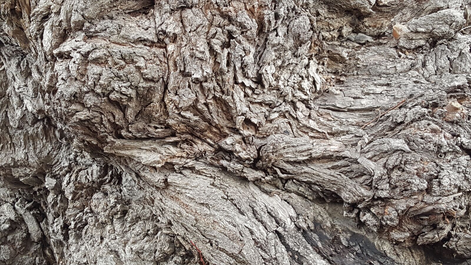 Samsung Galaxy Note5 sample photo. Rough, nature, pattern photography